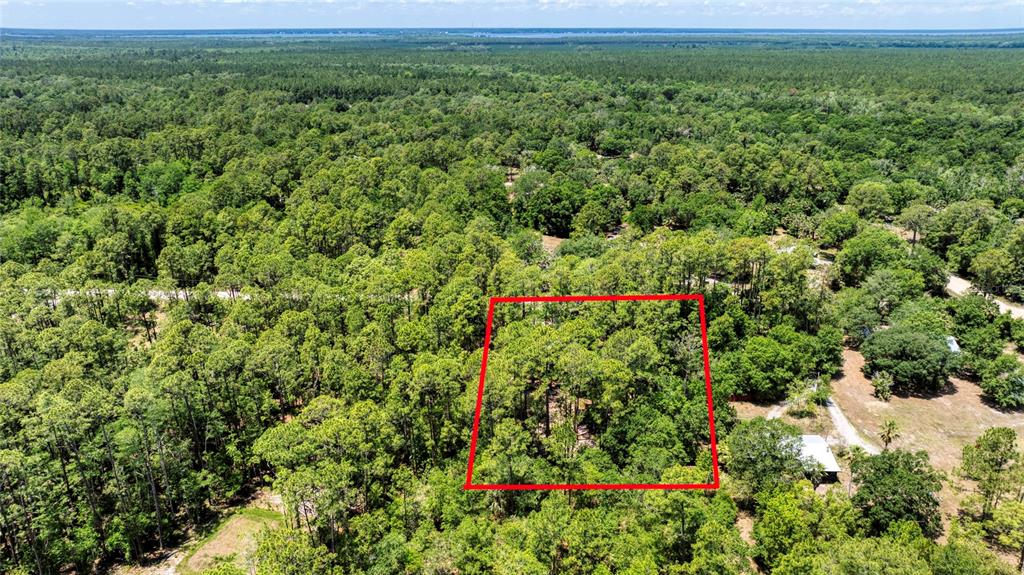 2089 Guava Lane Bunnell, FL 32110 - Photo 53 of 58