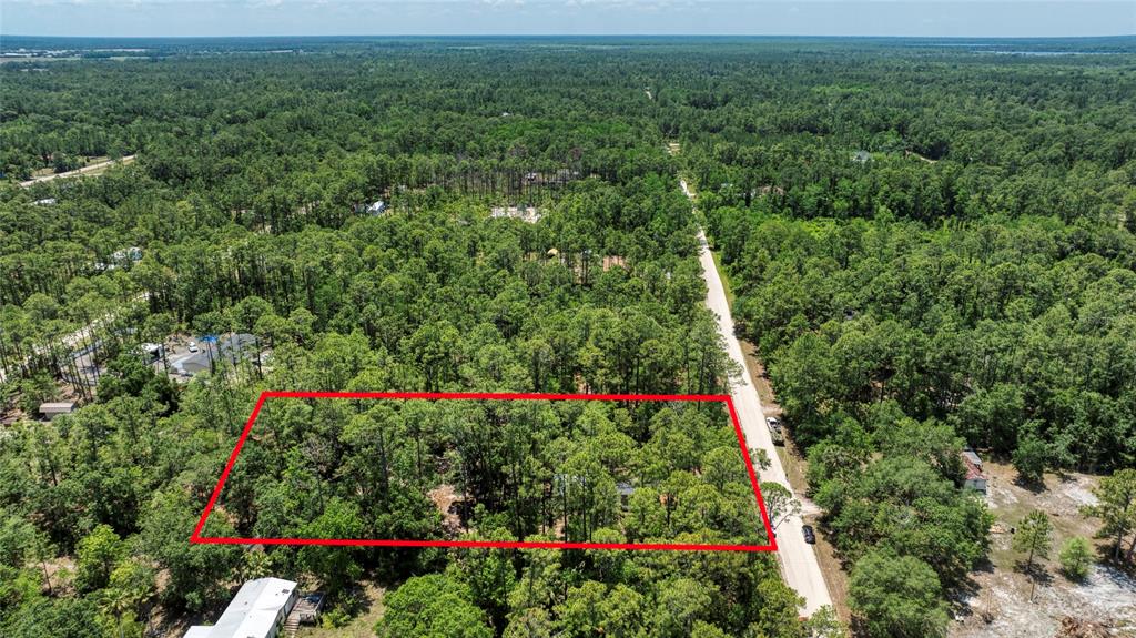 2089 Guava Lane Bunnell, FL 32110 - Photo 55 of 58