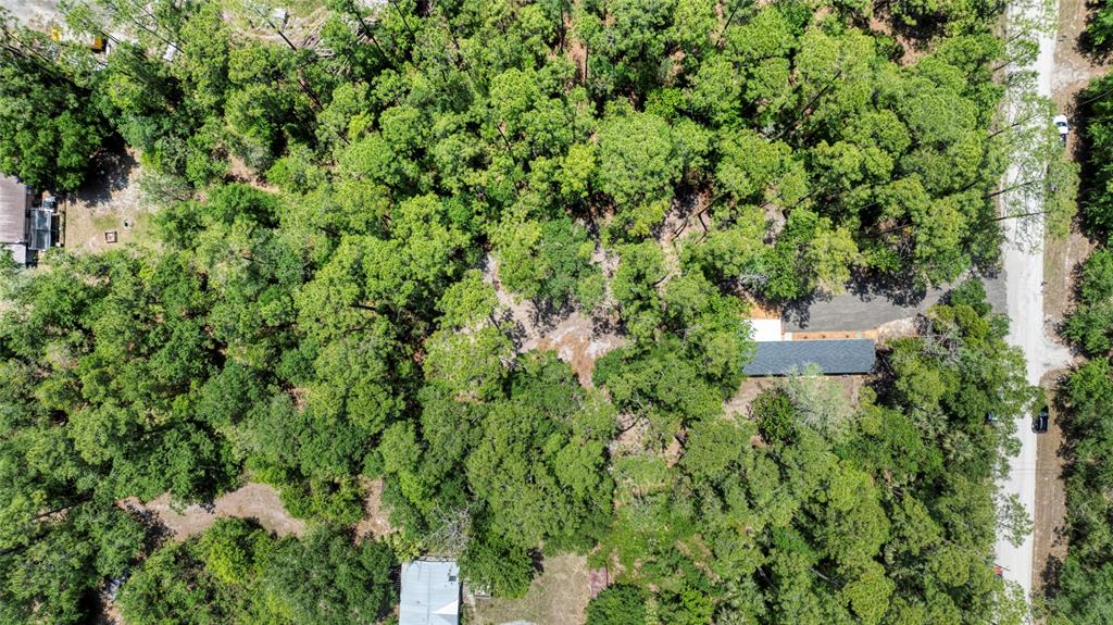 2089 Guava Lane Bunnell, FL 32110 - Photo 56 of 58