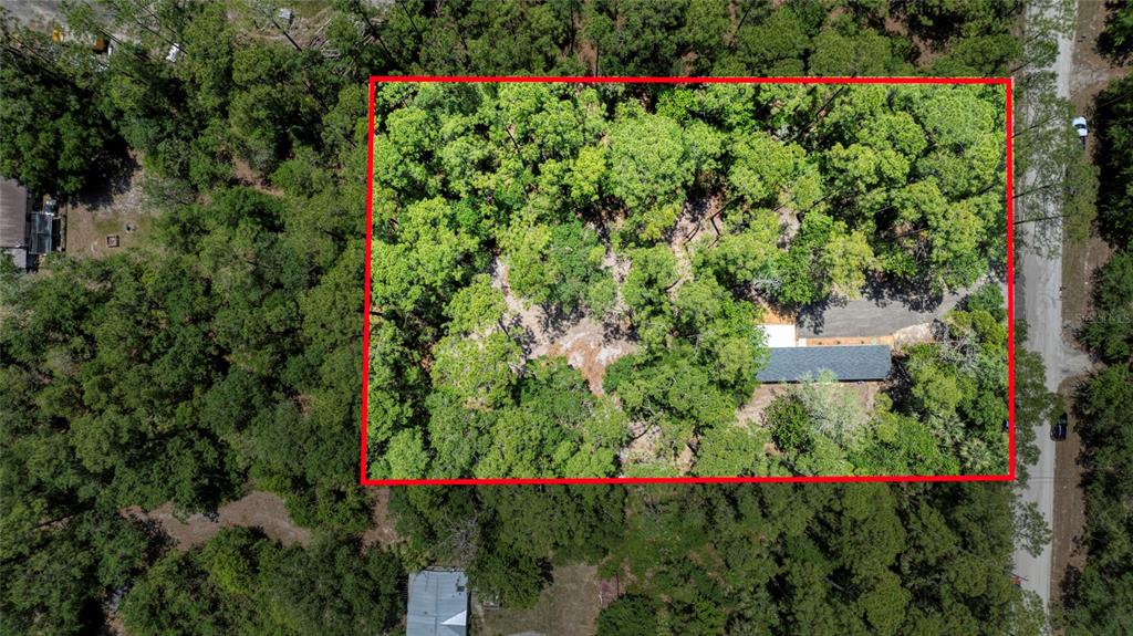 2089 Guava Lane Bunnell, FL 32110 - Photo 57 of 58