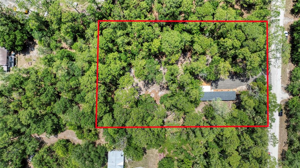 2089 Guava Lane Bunnell, FL 32110 - Photo 58 of 58