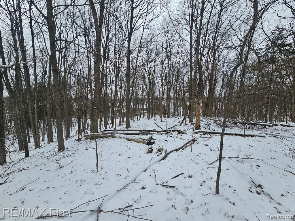 0 Dean Road Fenton, MI 48430 - Photo 6 of 26