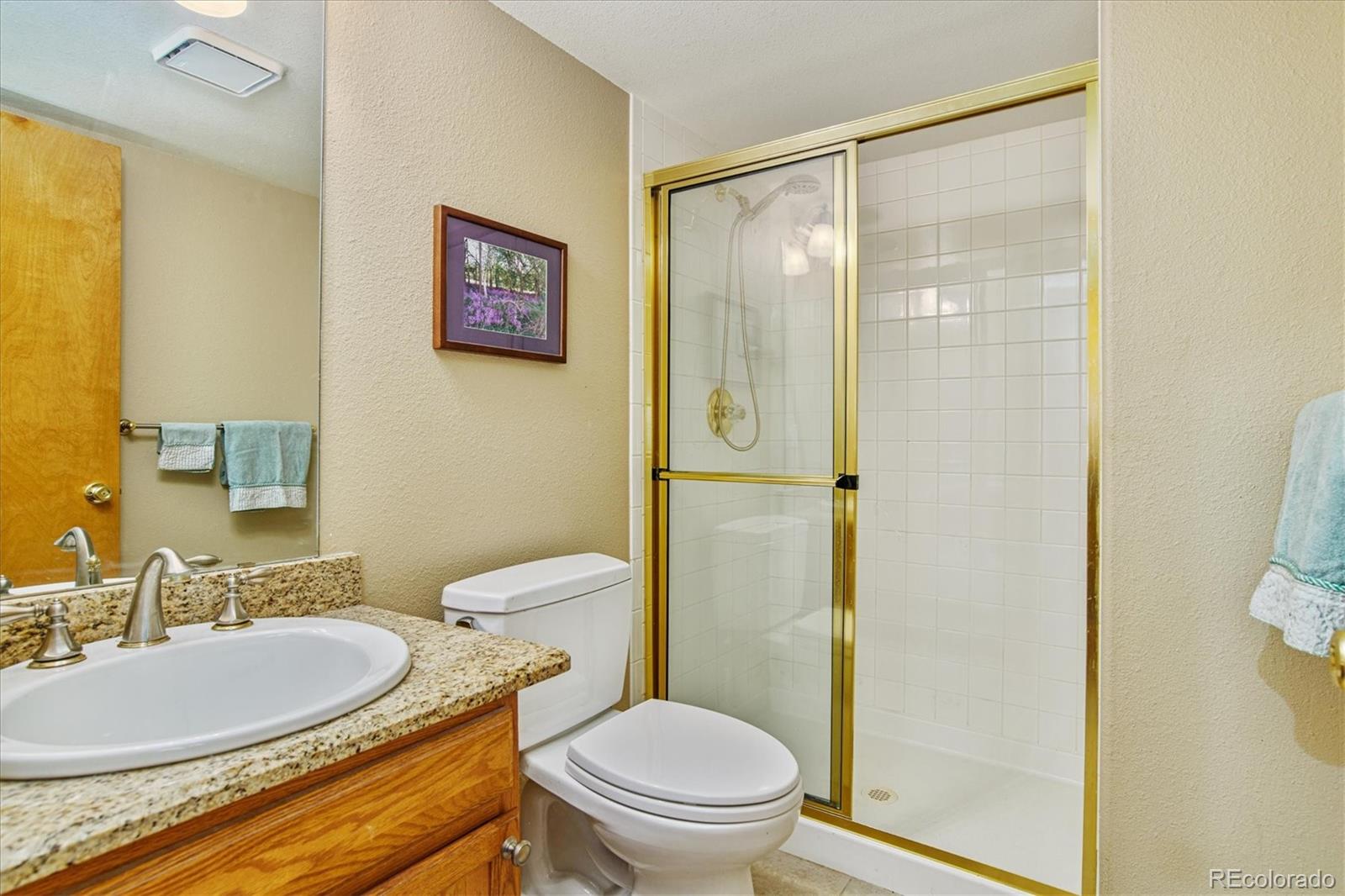 10039 Silver Maple Road Highlands Ranch, CO 80129 - Photo 16 of 32 Gallery Image 16