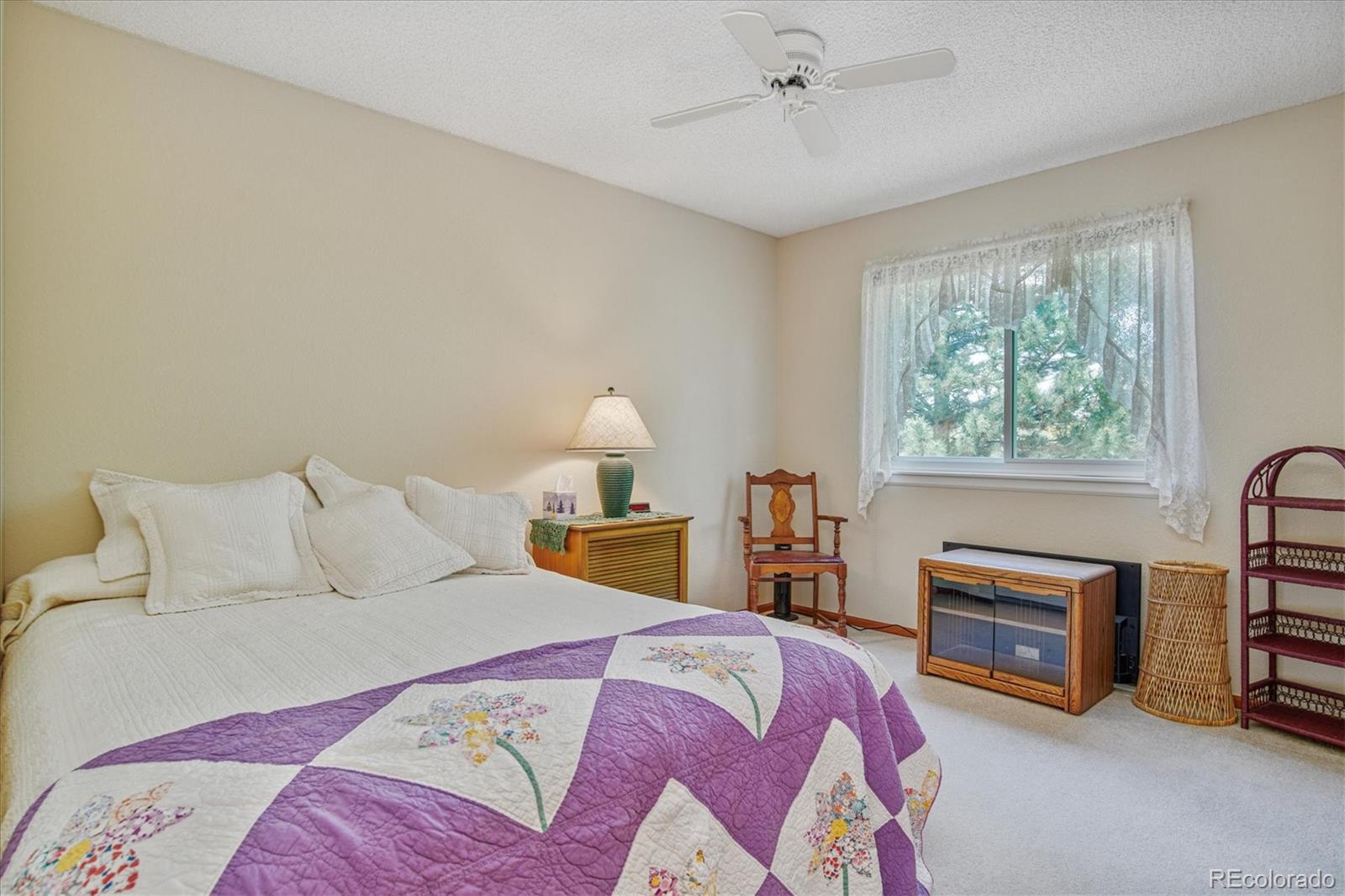 10039 Silver Maple Road Highlands Ranch, CO 80129 - Photo 25 of 32 Gallery Image 25