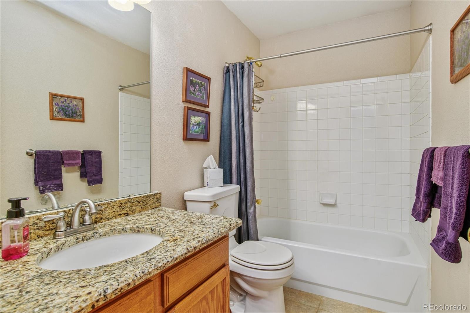 10039 Silver Maple Road Highlands Ranch, CO 80129 - Photo 26 of 32 Gallery Image 26