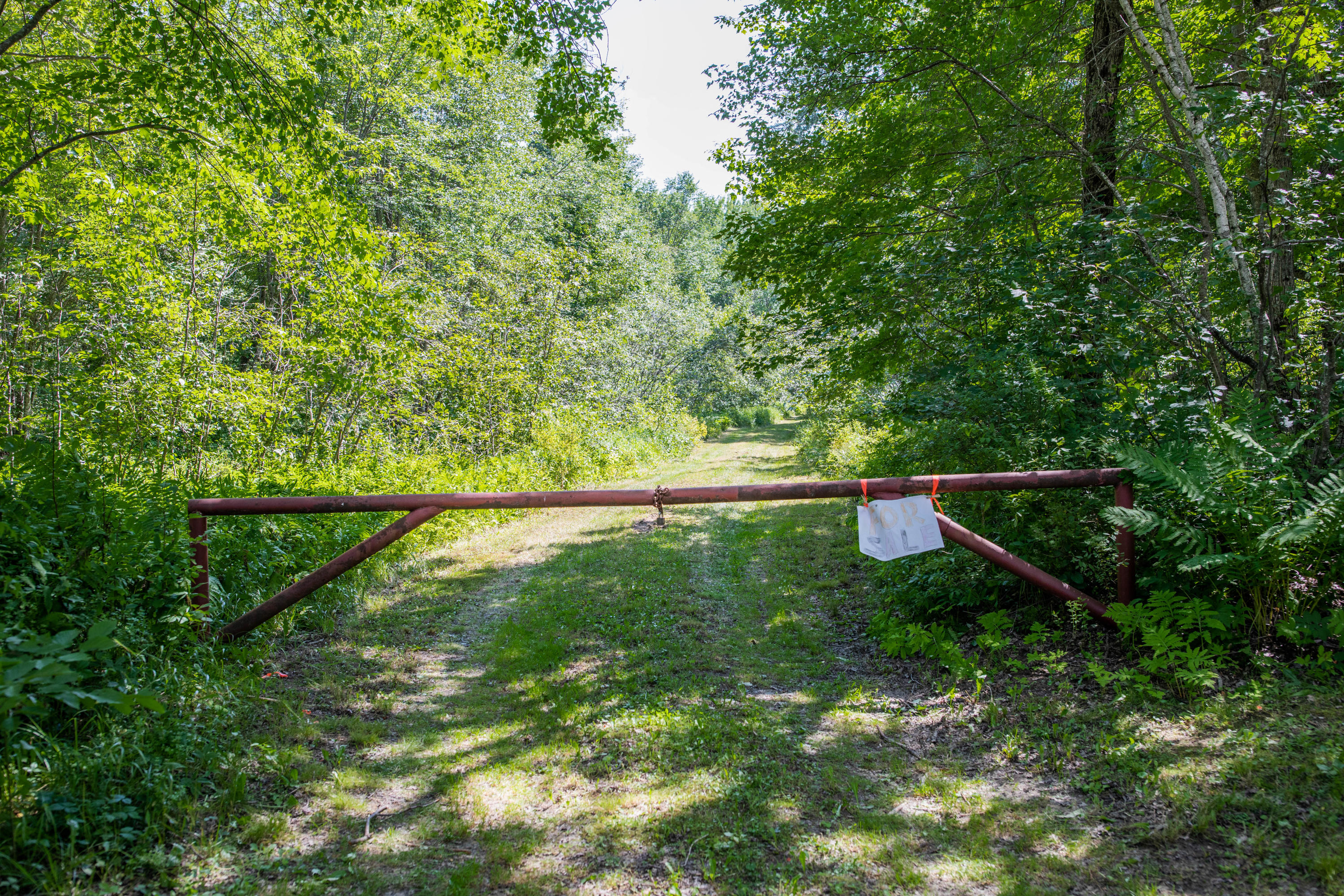 50 Swett Road Carthage, ME 04224 - Photo 31 of 32 4L0A0844