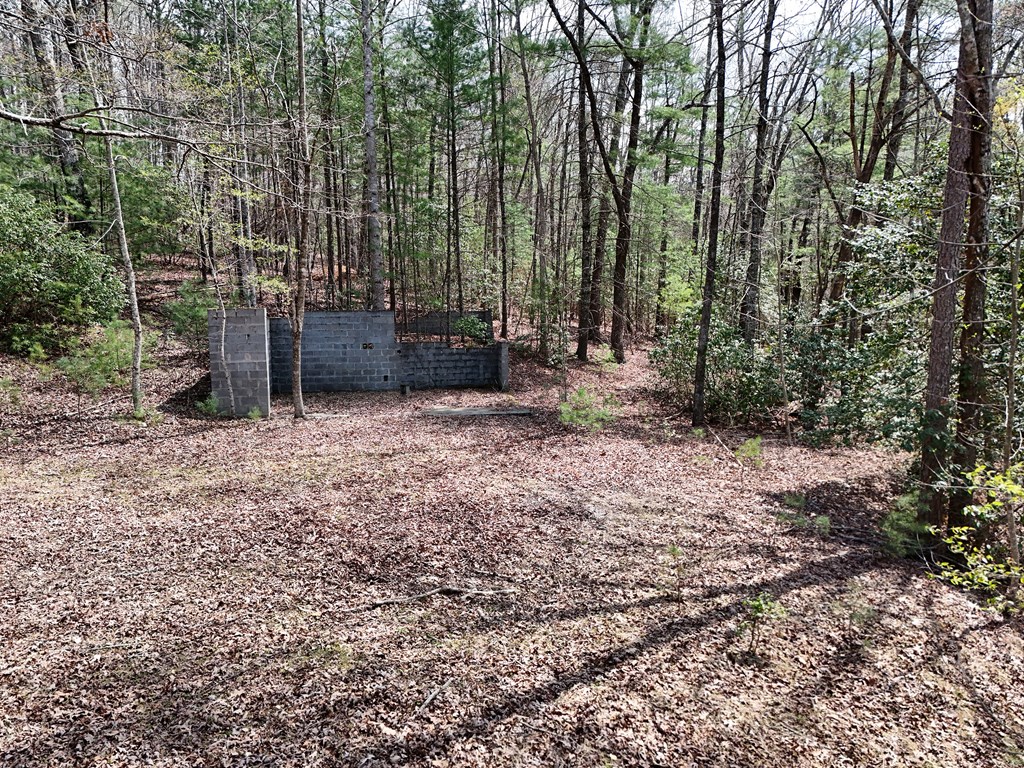 Lot 117 Laurel Trace Blue Ridge, GA 30513 - Photo 4 of 20 Gallery Image 4