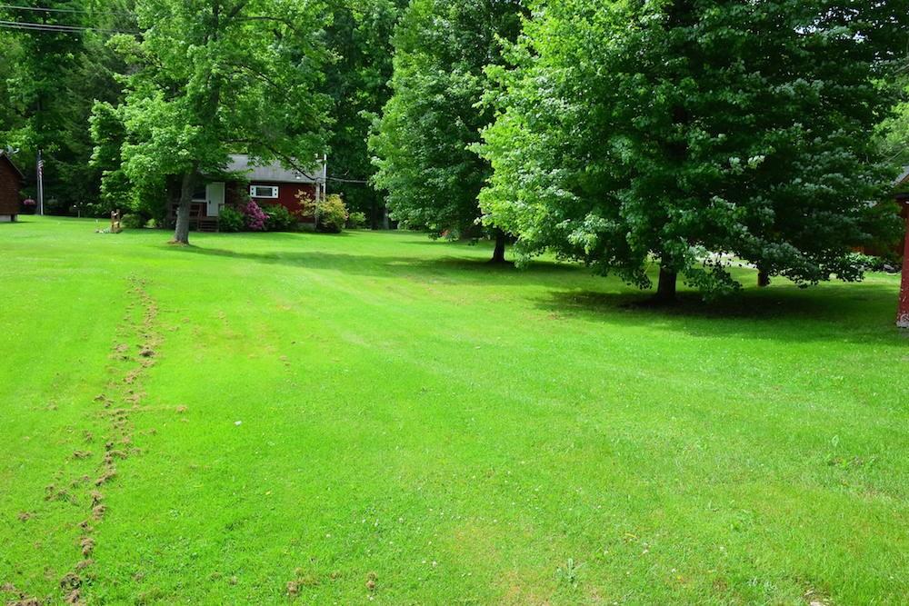 546 Nebo Road Champion, PA 15622 - Photo 2 of 25