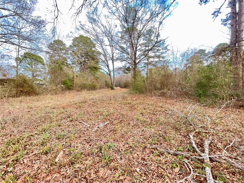 0 Pine Street Heflin, LA 71039 - Photo 8 of 14 Opening down by water