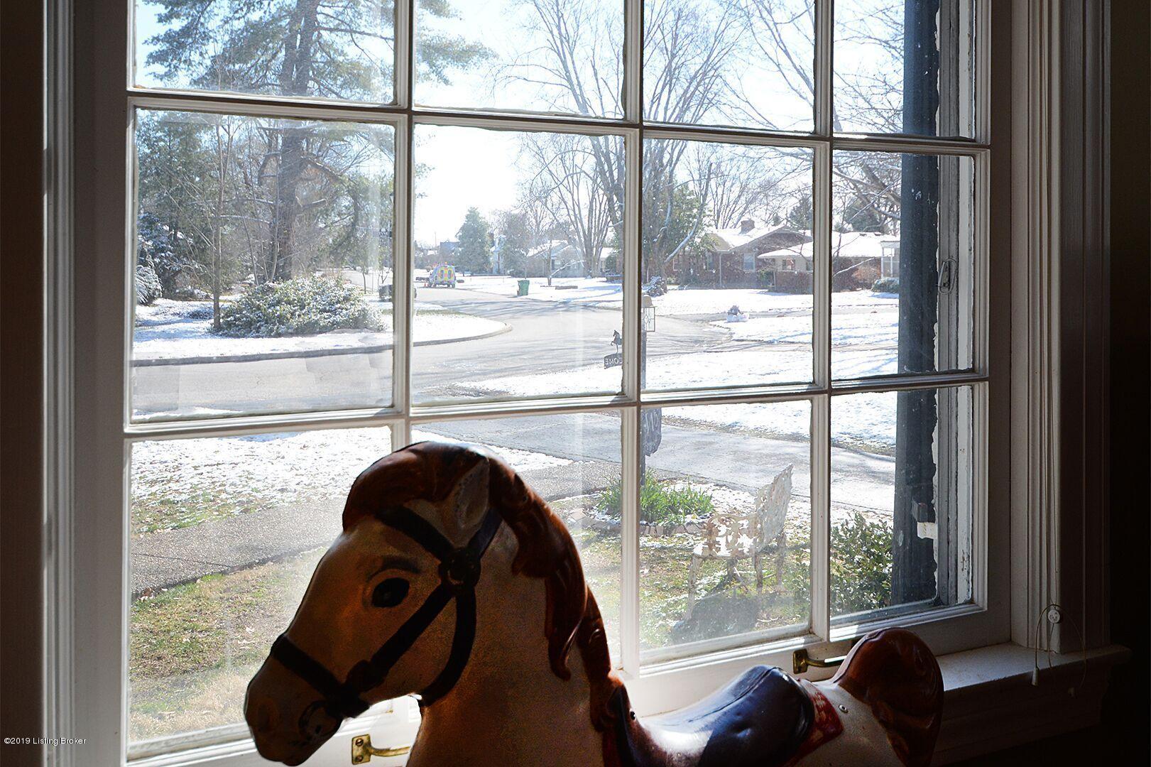 200 Tyne Road Louisville, KY 40207 - Photo 21 of 32 WINDOW VIEW