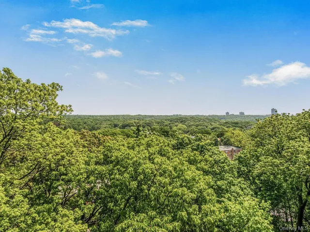 a view of a large yard with lots of green space