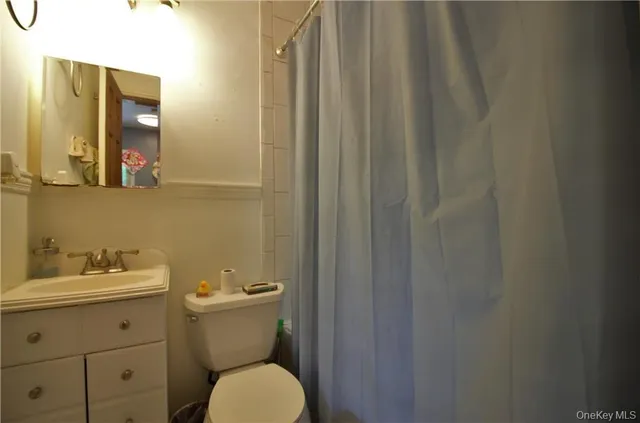 a bathroom with a toilet a sink and vanity