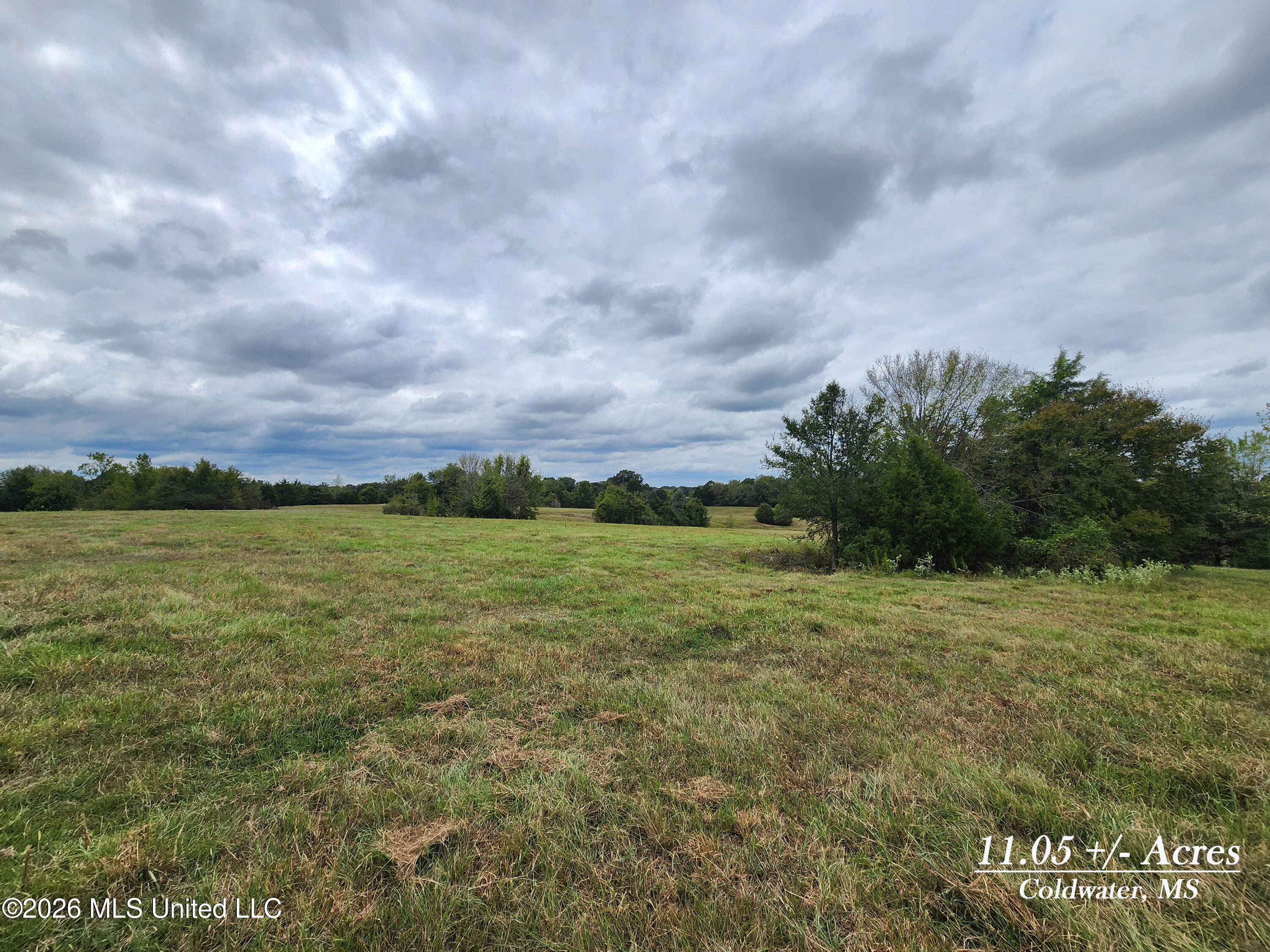 11.05 Bub Jamison Road Coldwater, MS 38618 - Photo 1 of 11 20260924_125048 copy