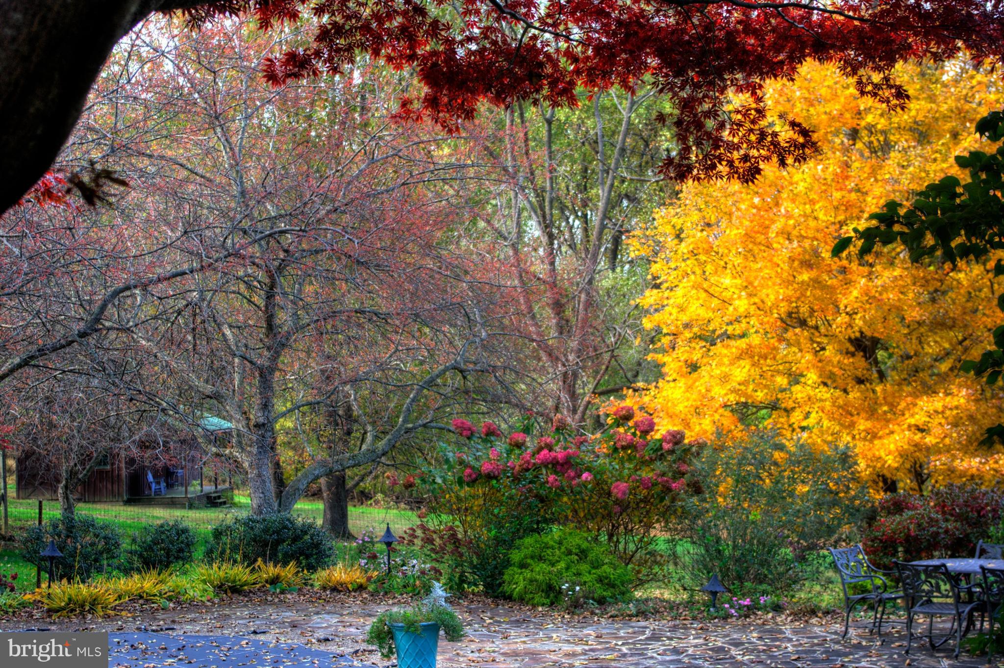 3451 Wells Road Malvern, PA 19355 - Photo 41 of 44 View of the barn behind trees at the pool