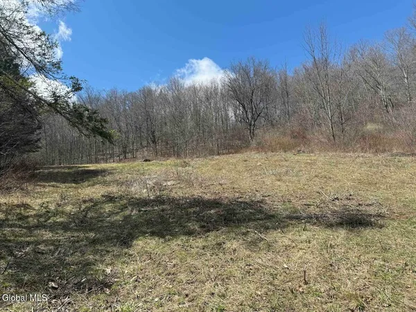 $249,800 | L25 Brand Hollow Road, Preston Hollow, NY 12469