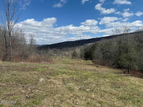 $249,800 | L25 Brand Hollow Road, Preston Hollow, NY 12469