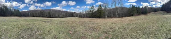 $249,800 | L25 Brand Hollow Road, Preston Hollow, NY 12469