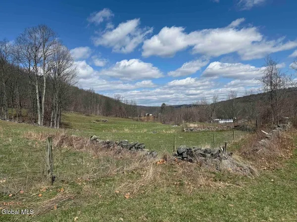 $249,800 | L25 Brand Hollow Road, Preston Hollow, NY 12469