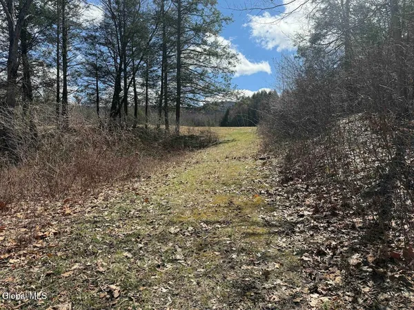 $249,800 | L25 Brand Hollow Road, Preston Hollow, NY 12469