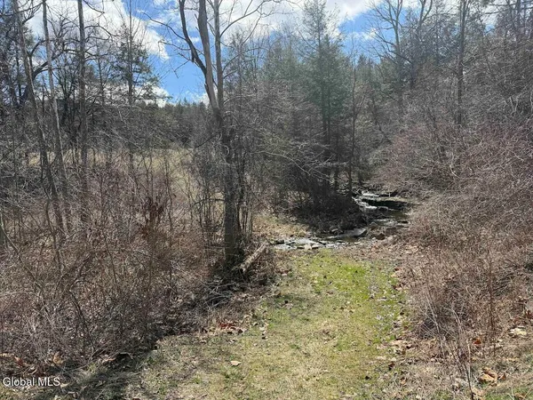 $249,800 | L25 Brand Hollow Road, Preston Hollow, NY 12469