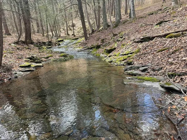 $249,800 | L25 Brand Hollow Road, Preston Hollow, NY 12469