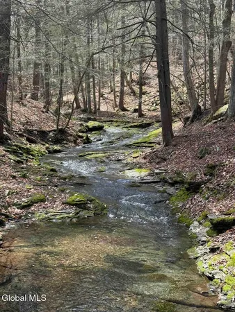 $249,800 | L25 Brand Hollow Road, Preston Hollow, NY 12469