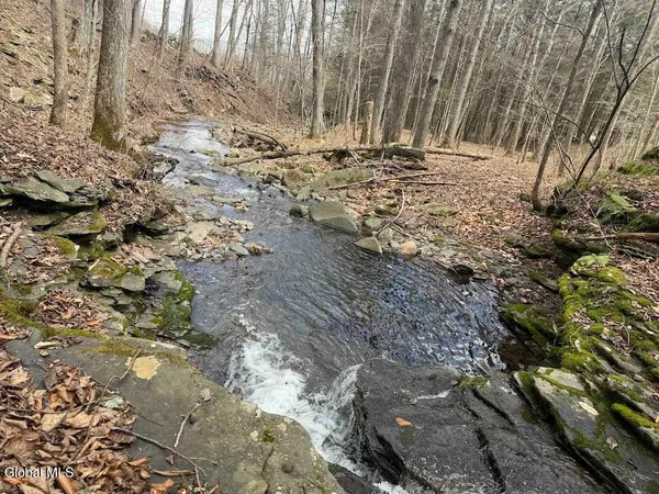 $249,800 | L25 Brand Hollow Road, Preston Hollow, NY 12469