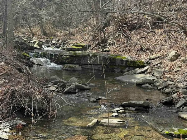 $249,800 | L25 Brand Hollow Road, Preston Hollow, NY 12469