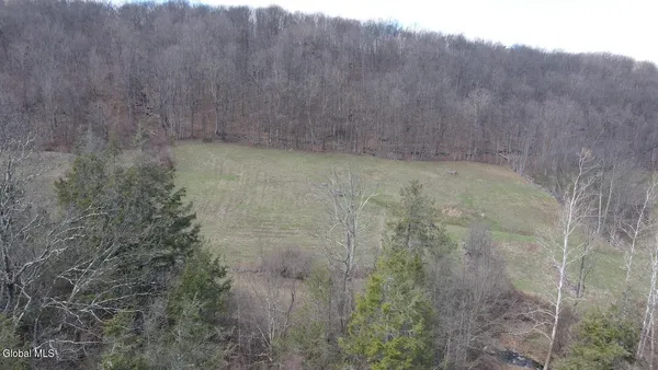 $249,800 | L25 Brand Hollow Road, Preston Hollow, NY 12469