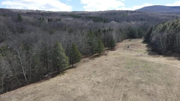 $249,800 | L25 Brand Hollow Road, Preston Hollow, NY 12469