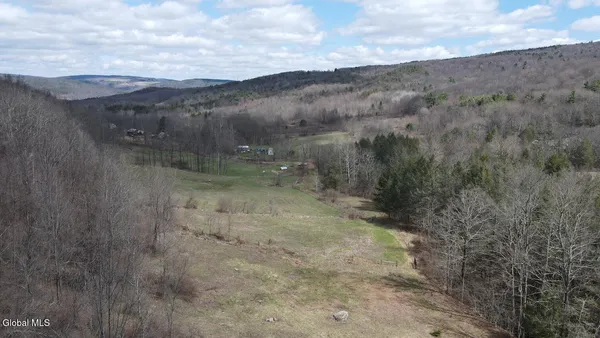 $249,800 | L25 Brand Hollow Road, Preston Hollow, NY 12469