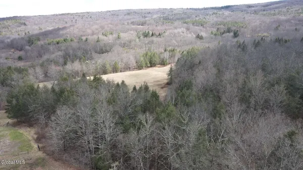 $249,800 | L25 Brand Hollow Road, Preston Hollow, NY 12469