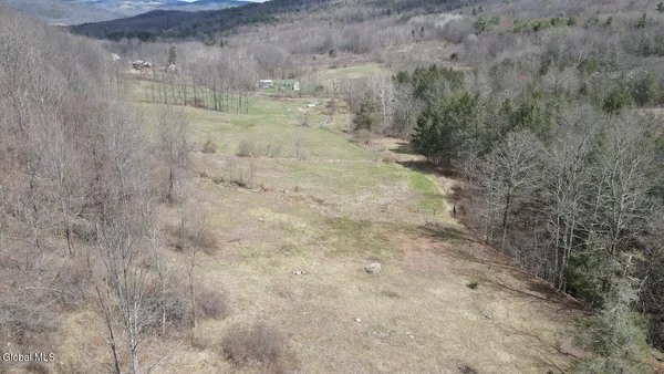 $249,800 | L25 Brand Hollow Road, Preston Hollow, NY 12469