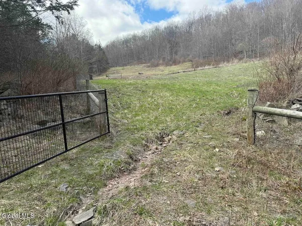 $249,800 | L25 Brand Hollow Road, Preston Hollow, NY 12469