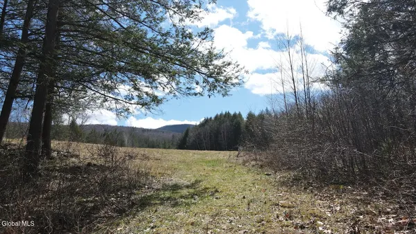 $249,800 | L25 Brand Hollow Road, Preston Hollow, NY 12469