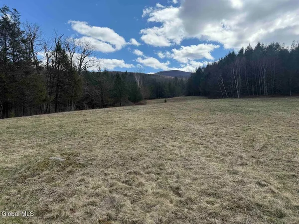 $249,800 | L25 Brand Hollow Road, Preston Hollow, NY 12469
