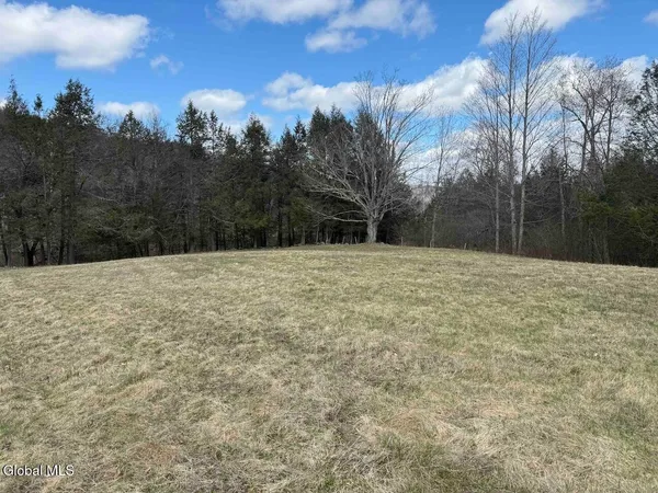 $249,800 | L25 Brand Hollow Road, Preston Hollow, NY 12469