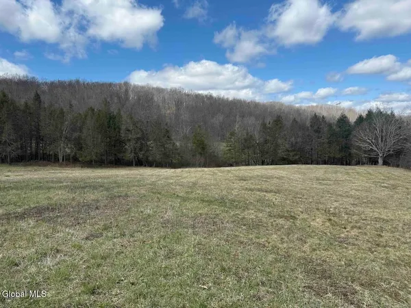 $249,800 | L25 Brand Hollow Road, Preston Hollow, NY 12469