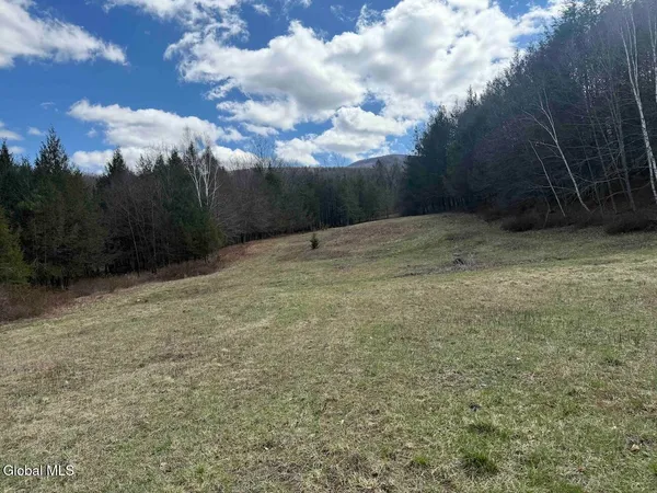 $249,800 | L25 Brand Hollow Road, Preston Hollow, NY 12469