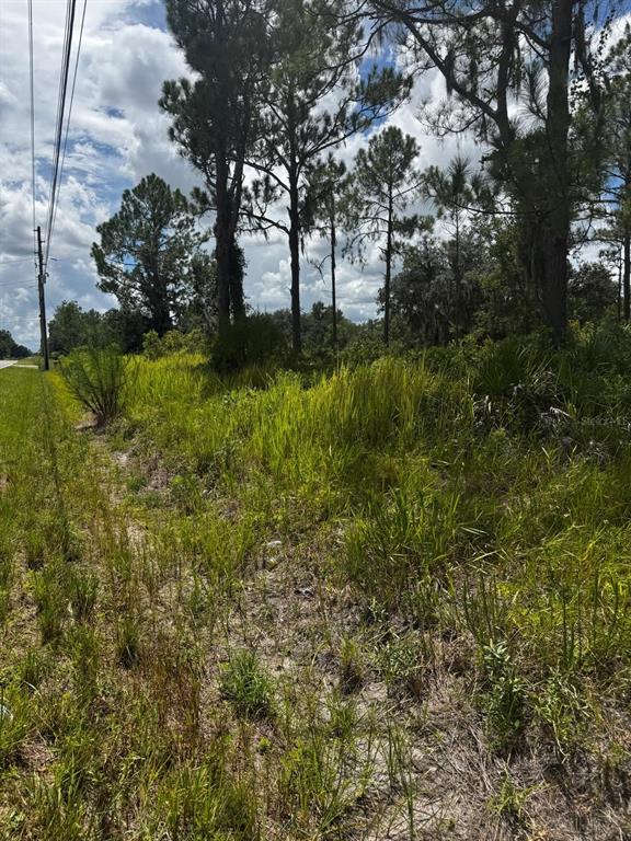 Mcclellan Road, Unit 48 Frostproof, FL 33843 - Photo 6 of 6 Gallery Image 6