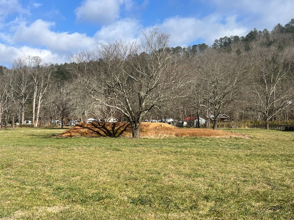 3 Riverside Meadows Hiawassee, GA 30546 - Photo 21 of 22