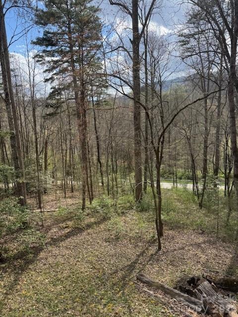 315 North River Road Sylva, NC 28779 - Photo 8 of 42