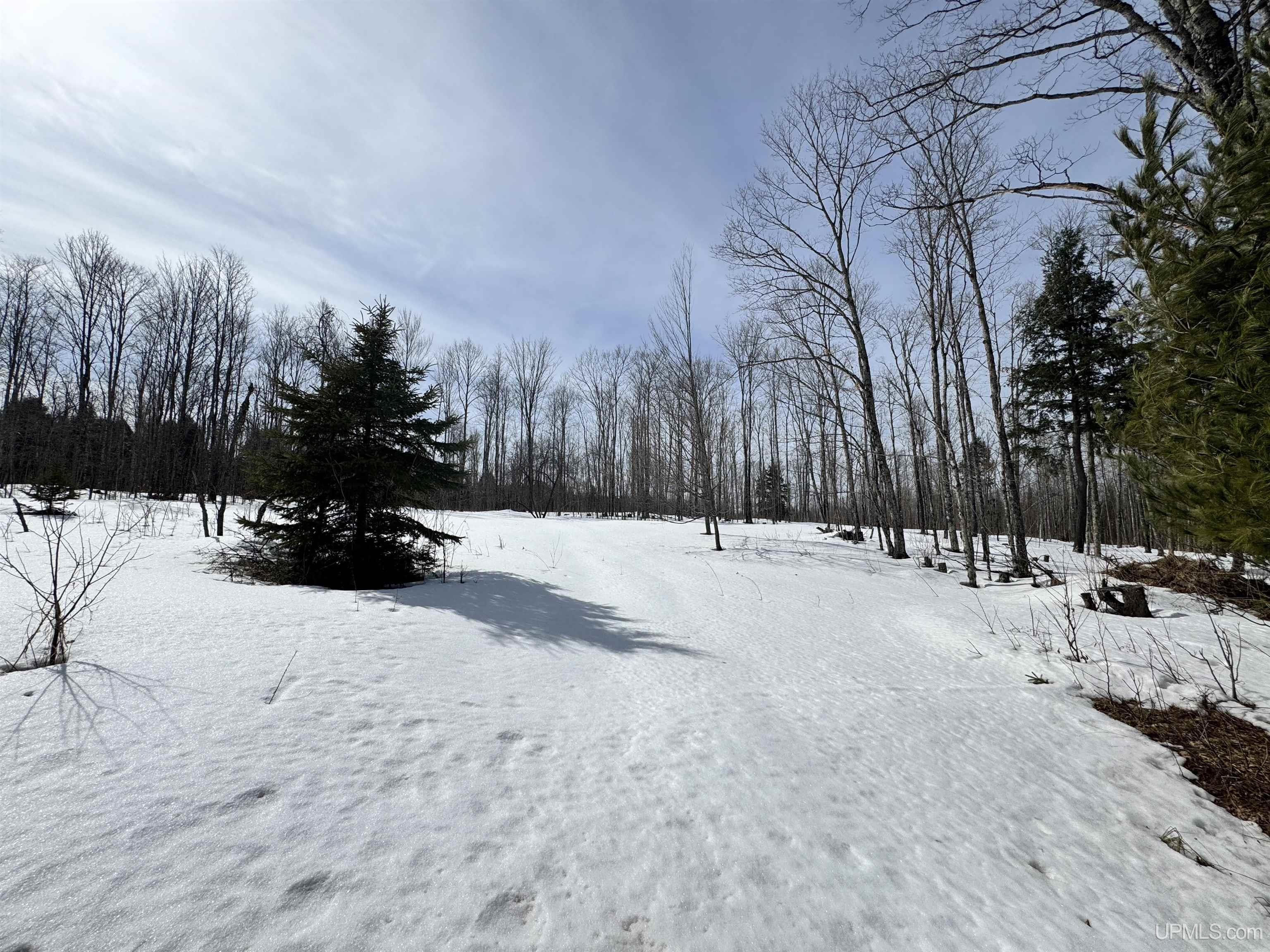 19185 Dog Patch Road, Unit LOT E Lanse, MI 49946 - Photo 10 of 23 Gallery Image 10