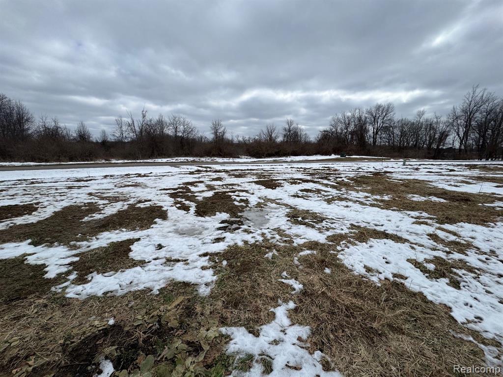 4050 Metamora Ridge Road Metamora, MI 48455 - Photo 6 of 6