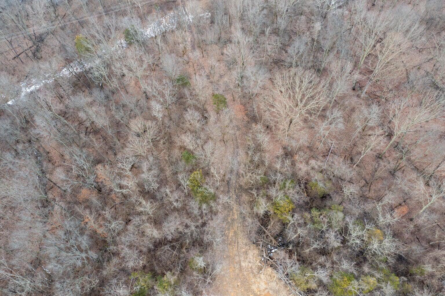0 Lawrenceville Road Corinth, KY 41010 - Photo 3 of 13 Picturesque