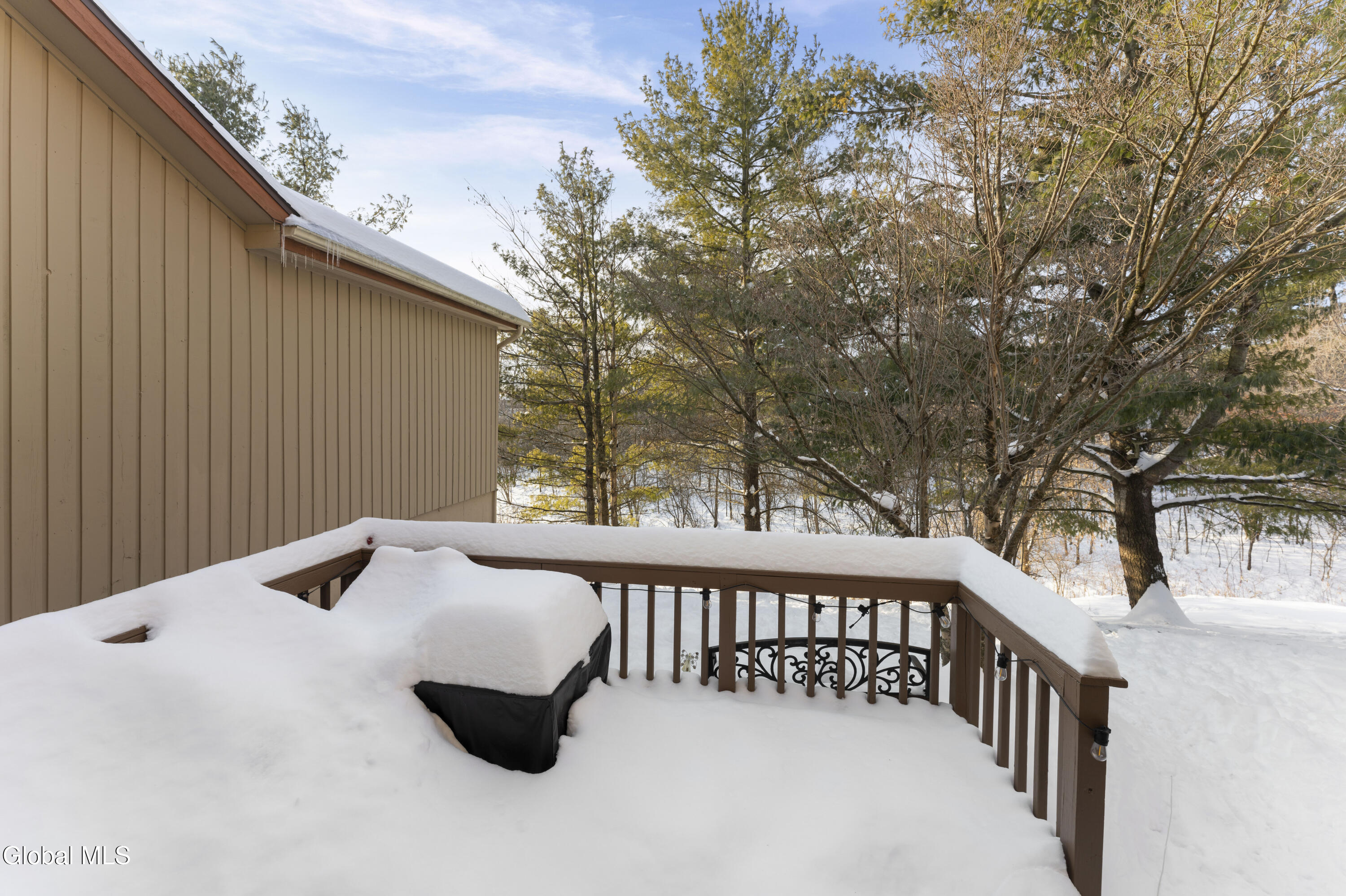 216 Harvard Road Colonie, NY 12189 - Photo 31 of 34 Yard 1