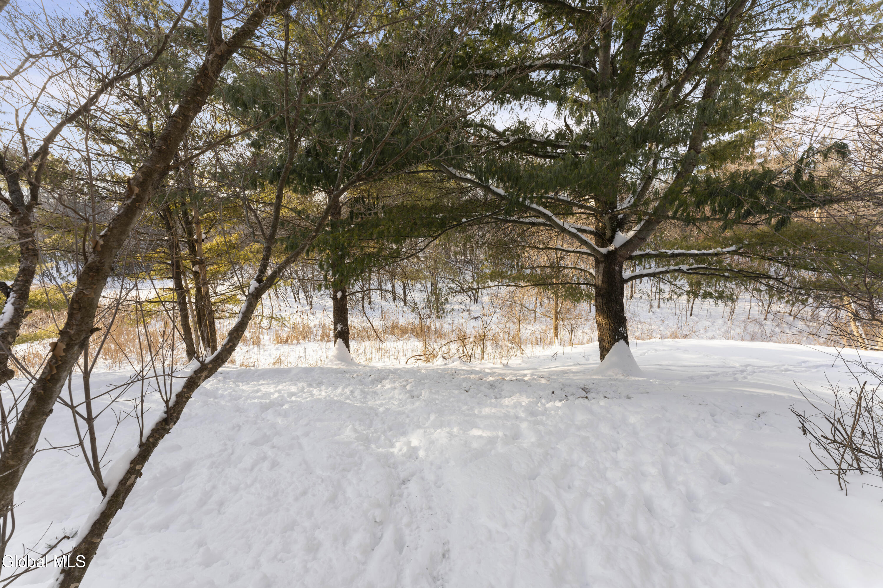 216 Harvard Road Colonie, NY 12189 - Photo 33 of 34 Yard 3