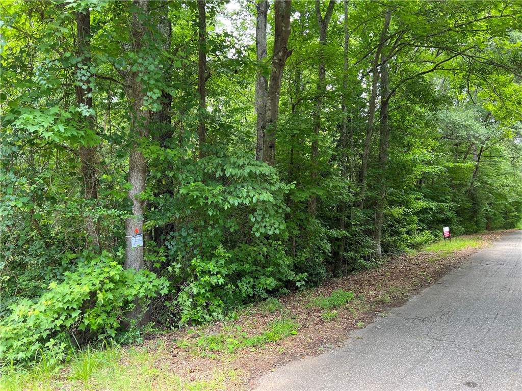 231 Dunlap Road Williamston, SC 29697 - Photo 1 of 13