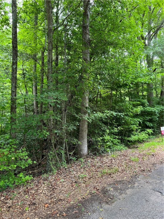 231 Dunlap Road Williamston, SC 29697 - Photo 12 of 13