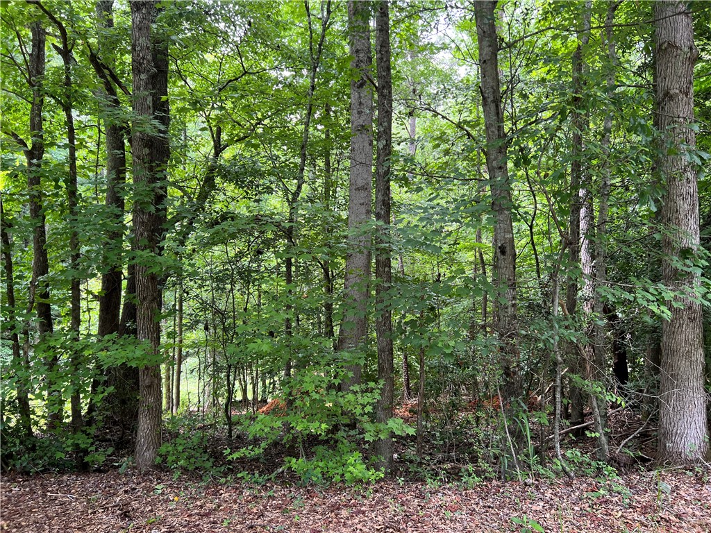 231 Dunlap Road Williamston, SC 29697 - Photo 3 of 13